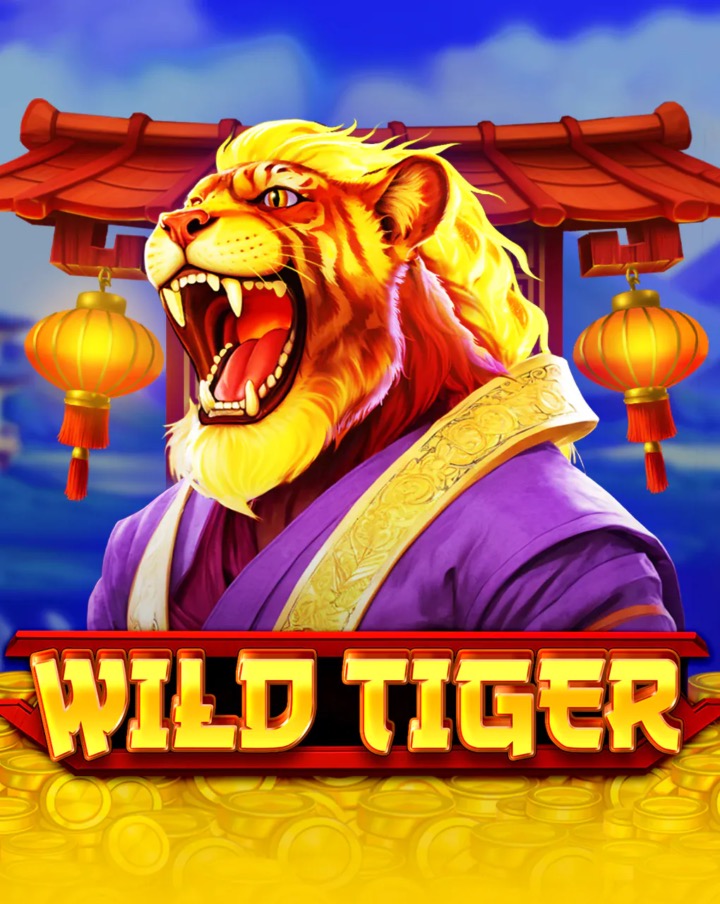 Tigre maestro de artes marciales en la pantalla principal de la tragamonedas Wild Tiger de BGaming